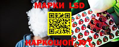 крисы Обь