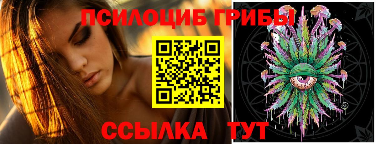 Псилоцибиновые грибы мухоморы  Псилоцибиновые грибы мицелий  Вход с VPN  купить   Советская Гавань 