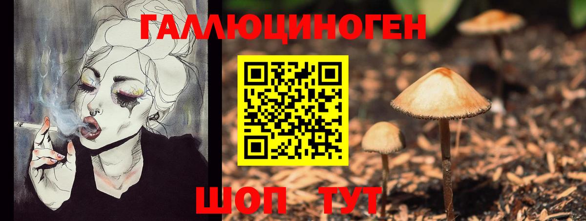 A-PVP Советская Гавань